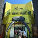 여주아크릴 | 🐞 여주 곤충박물관 방문 후기 – 아이와 함께한 신나는 주말 실내 나들이