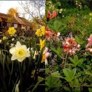 동화작가의 집 이미지