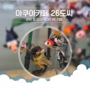 북삼중학교 | 수족관 카페 구미 26도씨 경북 이색 카페 가볼 만한 곳