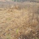 남지부동산 이미지