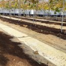 마이유기질비료 이미지