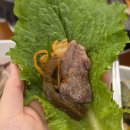 인동가산로2R-20 | 구미 인동 가족외식 추천! 모던타운 오리백숙로스구이 구미인동본점