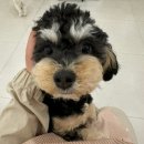 맘에든유치원 이미지