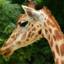 사진촬영과 표현 이미지