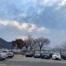 땡큐동물병원 이미지