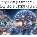 2022-1062 | [3월15일] 학습 데이터 권리 '러닝라이트' 부상, 킬린! 랜섬웨어 공격 1위