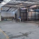 소나무세차장 이미지