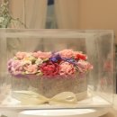 롤리앤폴리 이미지