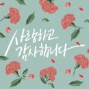 캘리그라피(취미) 이미지