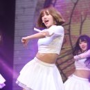 미미정원