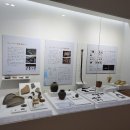 [화성시민대학] 경이로운 생명, 나무 | [경기도 화성시] 화성시 향토박물관