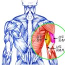 캐롬학당 이미지