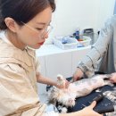 고양이 이발관 이미지