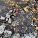 산사랑 글램핑 이미지