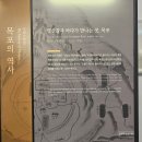주식회사 아이모티브 | 수서역에서 SRT로 목포 당일치기 여행한 후기 (ft 만선식당 독천식당)