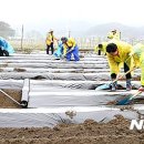 행복나눔농장 이미지