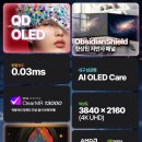 우마테크주 게임포커스