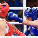 복싱아레나 이미지