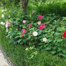 부용쉼터 이미지