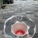 달서과일