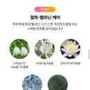 탄피부 복구는 컬러랩스 화이트태닝 100X 앰플로!