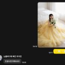 종다리공원 앞 횡단보도 | 마포구 모앤느 스튜디오 웨딩촬영 및 노을공원 야외 웨딩스냅 후기