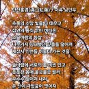 만산홍엽(滿山紅葉) 이미지