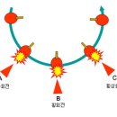 동일상회 이미지