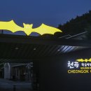 천곡황금박쥐동굴 이미지