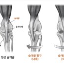 쿨펫동물병원 이미지