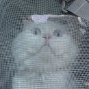 지에스25 센트럴정문 이미지