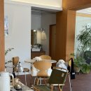 럭키켄넬 | [청주 애견동반 카페] 주차가 편하고 커피가 맛있는 언벌스데이 카페 내돈내산