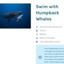 mom's home | 수영해도 될까요 | 호주 브리즈번 Sunshine Coast Mooloolaba Humpback Whale Swim 혼자 다녀온 후기 1편