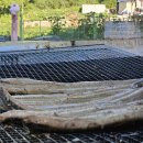 무주반딧불맛집 이미지