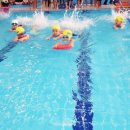 참유치원 이미지