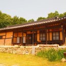 오가물