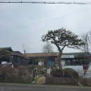 메주꽃이랑 이미지