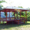 숲속작은나라 이미지