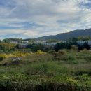 강하주유소 이미지