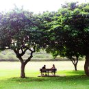 나무벤치 이미지