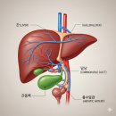 베스트내과의원 이미지