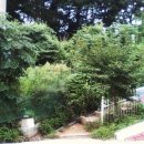 내서읍656 이미지