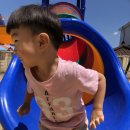 봉황초교병설유치원 이미지