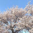 승월마을회관 이미지