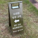 아산글램핑캠핑장 | 아산 글램핑캠핑장 신상 스테이그린 바베큐 방갈로 커플여행추천