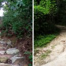 서울YMCA다락원캠프장 이미지