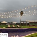 태연8289 풀 리조트 이미지