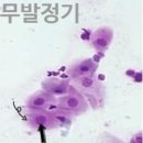 청라호수동물메디컬센터 이미지