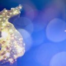 평화메디컬 이미지