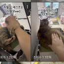 메밀세차장 | 12월 살짝 정리였는데 얼떨결에 새해인사까즤